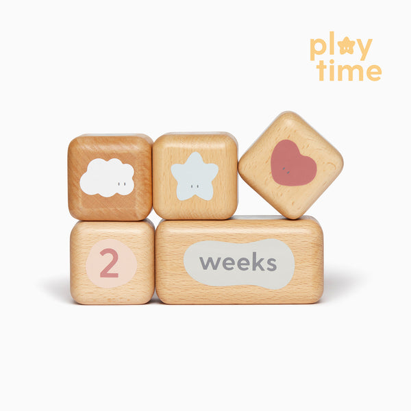 Wooden Baby Milestone Blocks MORI EU