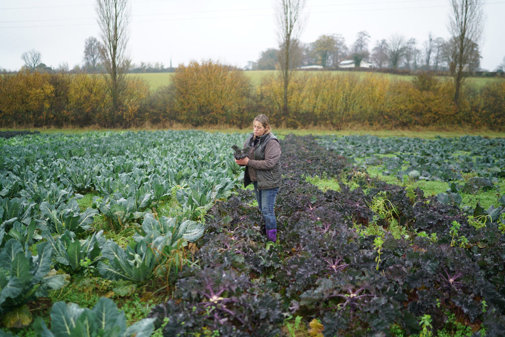 Living The Organic Lifestyle with Farmdrop Farmer Rowie Meers EU
